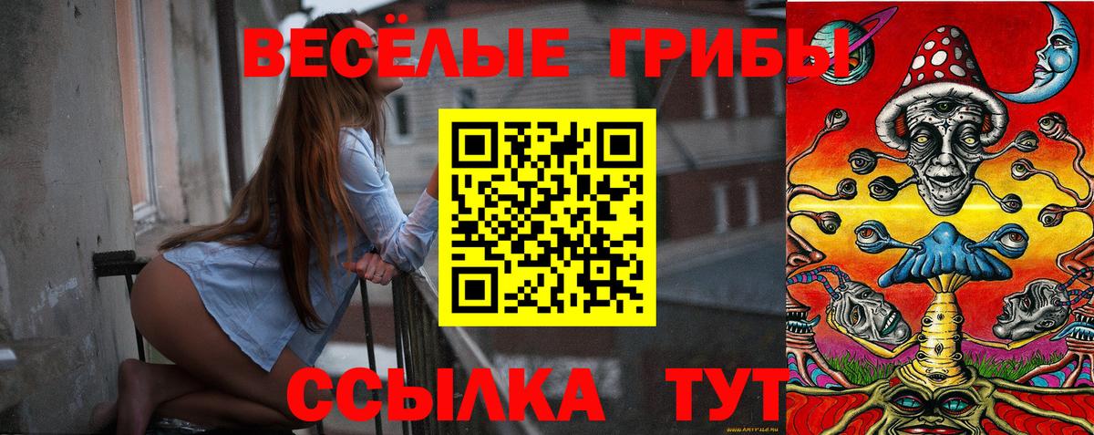 Псилоцибиновые грибы Psilocybe  Вход с VPN  Псилоцибиновые грибы мицелий  Камышин 