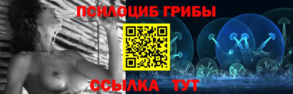 Псилоцибиновые грибы Psilocybine cubensis Камышин