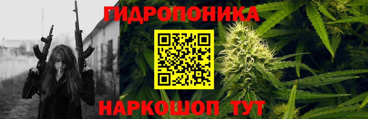 МАРИХУАНА SATIVA & INDICA  Конопля семена  Бошки Шишки тримм  Камышин  Вход с VPN  Каннабис тримм 